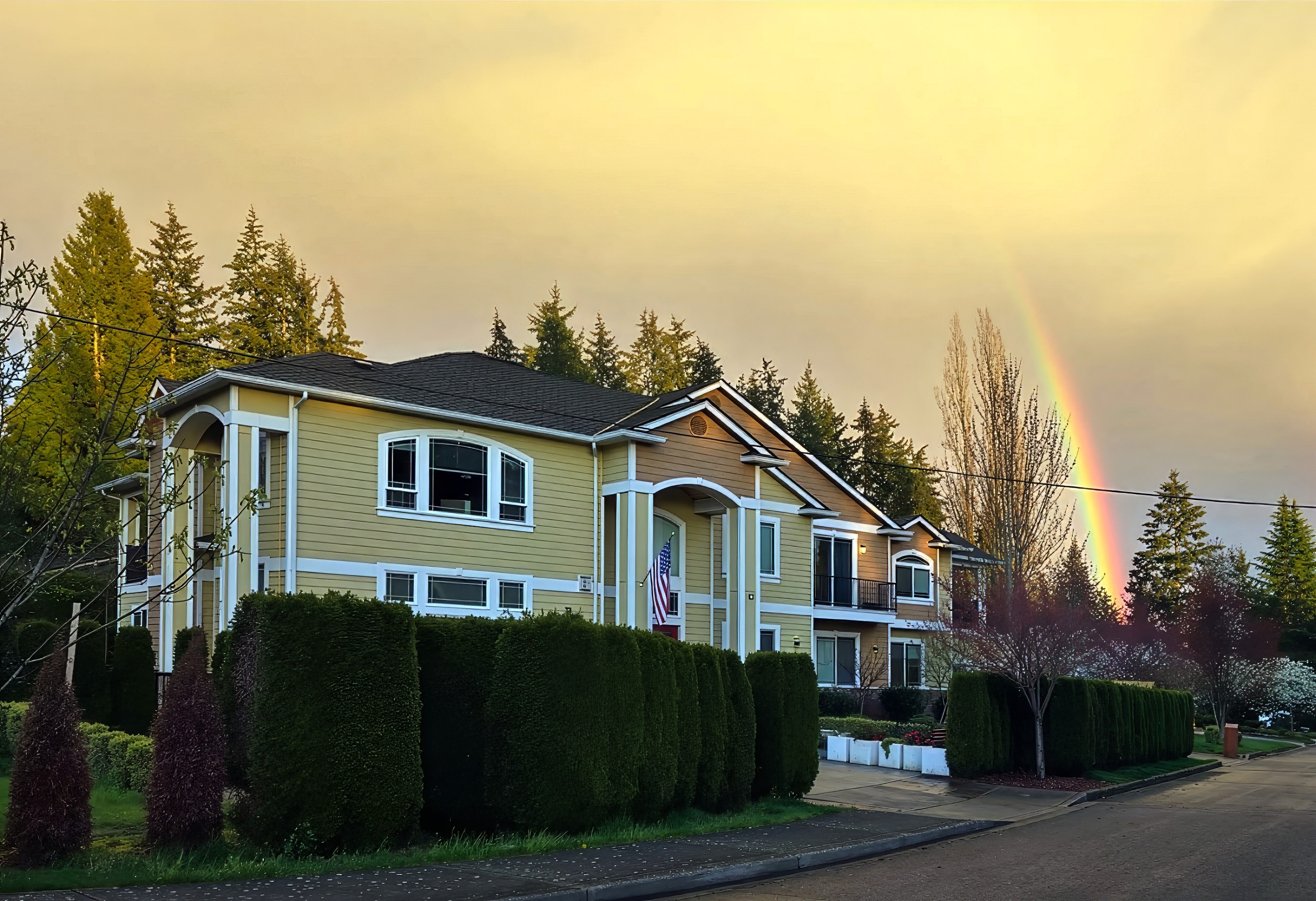 Bellevue Elderly Care